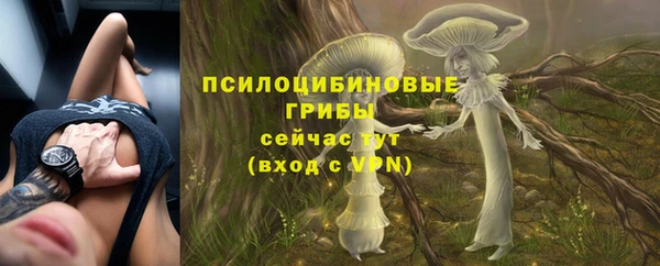 ALPHA PVP Остров
